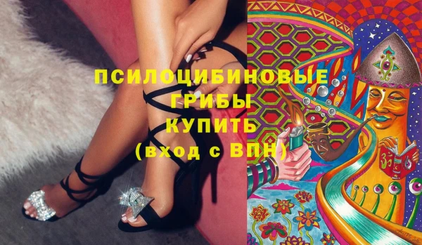 PSILOCYBIN Армянск